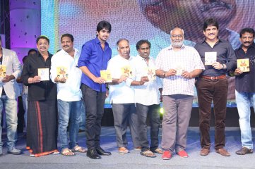 Dikkulu Choodaku Ramayya Movie Audio Launch
